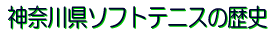 �_�ސ쌧�\�t�g�e�j�X�̗��j