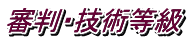 審判・技術等級
