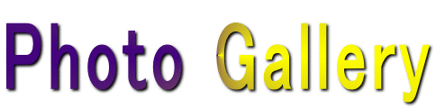 Photo Gallery