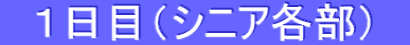 �@�P���ځi�V�j�A�e���j�@ 