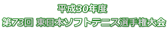                   平成30年度  第73回 東日本ソフトテニス選手権大会