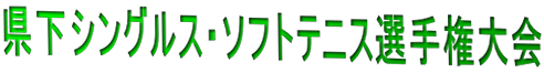 県下シングルス・ソフトテニス選手権大会