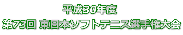 平成30年度 第73回 東日本ソフトテニス選手権大会